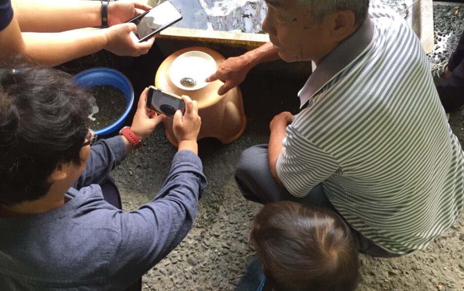 3DD0B3AD-2CC3-4833-889B-69AA05D13F09_1_105_c